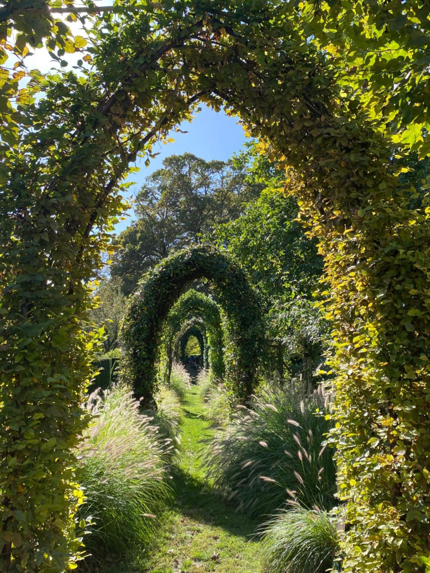 Вилла Domaine De Poulaines Pres Valencay Val De Loire Berry Экстерьер фото