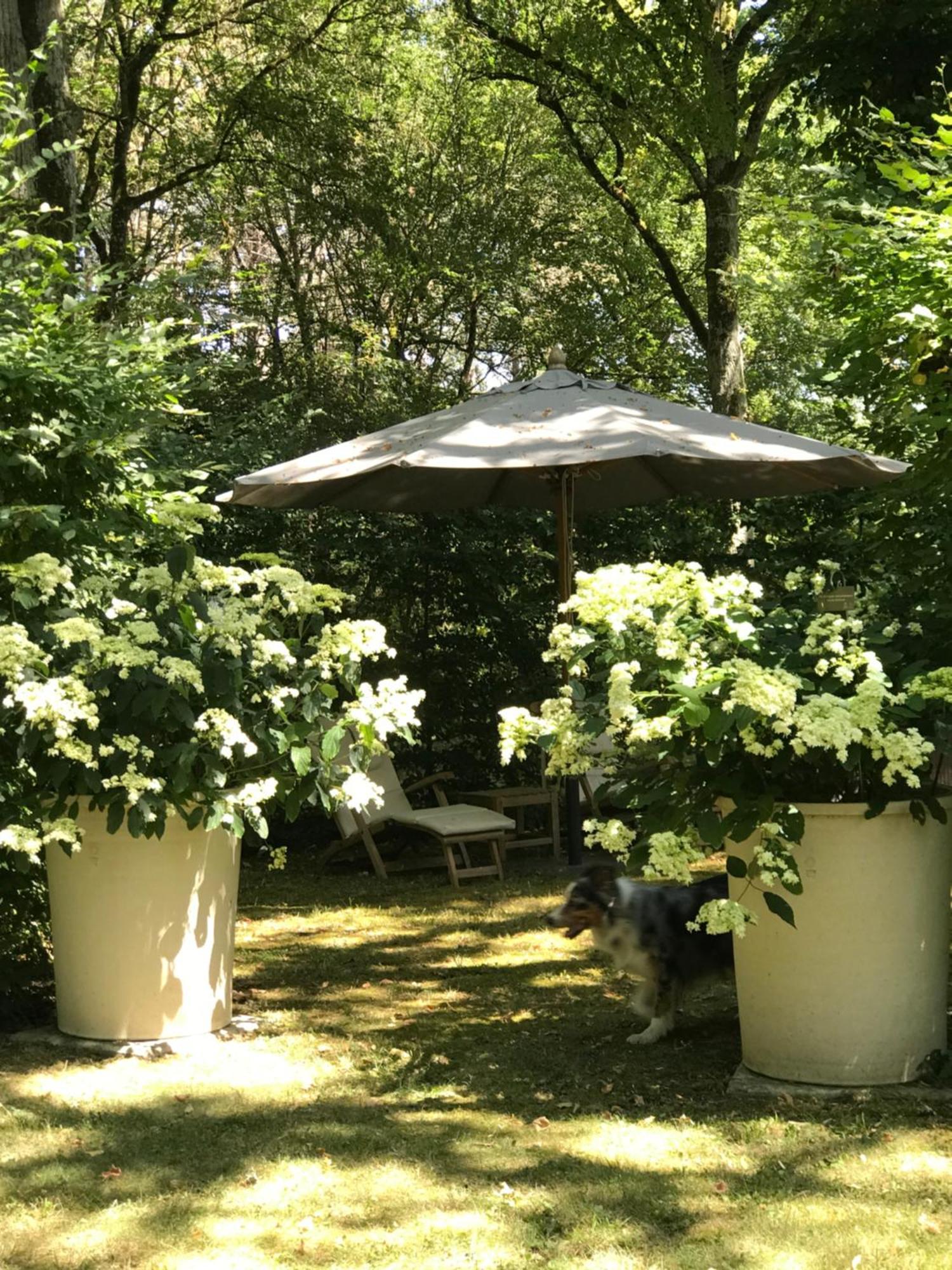 Вилла Domaine De Poulaines Pres Valencay Val De Loire Berry Номер фото